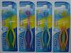 Adult toothbrush
