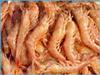 OCEAN CAUGHT SHRIMP 