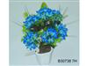 Potted Series