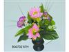 Potted Series