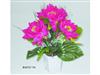 Potted Series