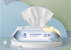 Disinfecting Wet Wipes (80 PCS)